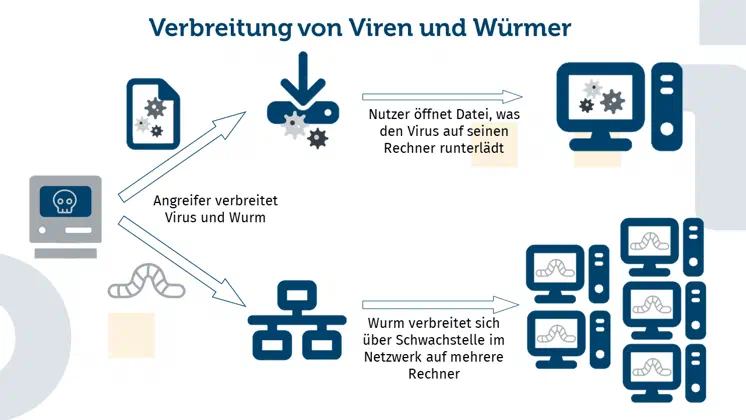 Die Abbildung zeigt die Verbreitung von Viren und Würmern. Beide beginnen beim Angreifer, der sie verbreitet. In der oberen Hälfte ist die Verbreitung des Virus dargestellt. Dieser in einer Datei eingebettet. Beim Öffnen der Datei wird er auf dem Computer des Opfers heruntergeladen. In der unteren Hälfte wird die Verbreitung des Wurms dargestellt. Er befindet sich in einem Netzwerk. Hier verbreitet er sich über Schwachstellen und landet so auf mehreren Rechnern, statt nur auf einem wie beim Virus.