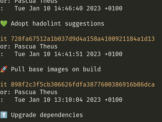 A screenshot of the command `git log`. One can see three commit messages: 'ðŸ’š Adopt hadolint suggestions', 'ðŸš€ Pull base images on build', 'â¬†ï¸�  Upgrade dependencies'