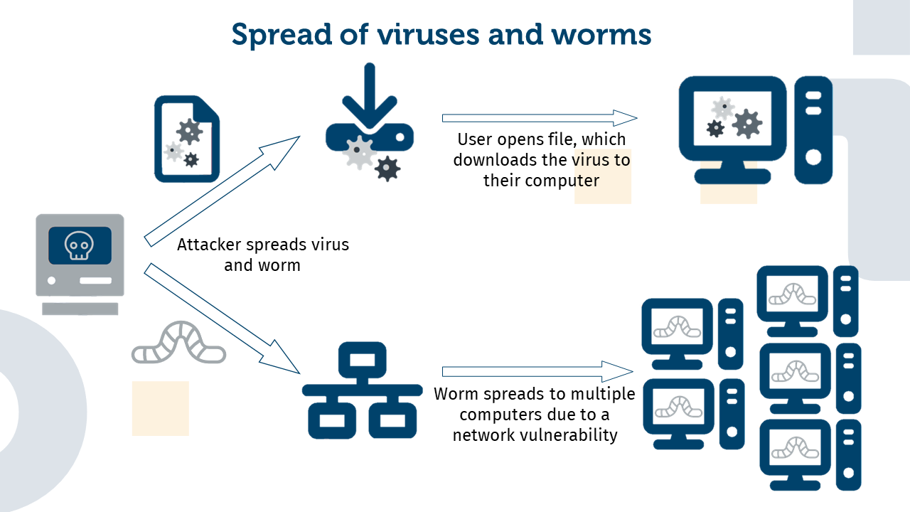 The figure shows the spread of viruses and worms. Both start with the attacker who spreads them. The upper half shows the spread of the virus, which could be embedded in a file. When the file is opened, the virus is downloaded to the victim's computer. The lower half shows the spread of the worm. It is located in a network. Here, it spreads via vulnerabilities and thus ends up on multiple computers, instead of just one as with the virus.