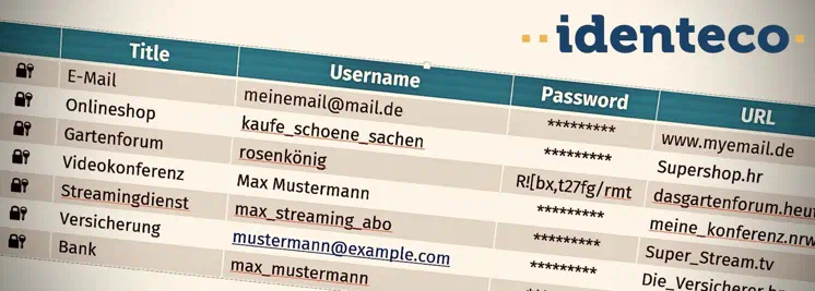 The image shows an example of a password manager.